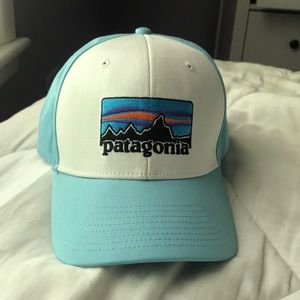 NWOT Patagonia Hat